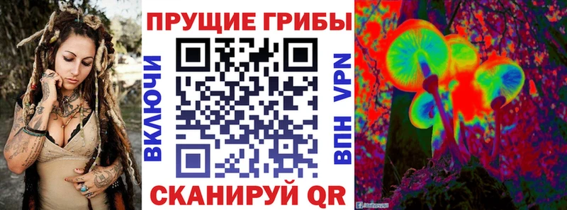 mega маркетплейс Амурск Галлюциногенные грибы мицелий