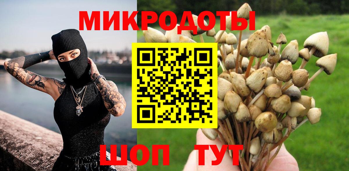 Галлюциногенные грибы прущие грибы Амурск