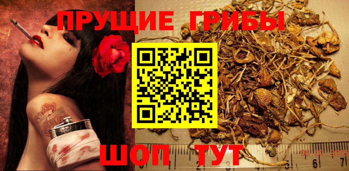 Галлюциногенные грибы мухоморы  Вход с VPN  Амурск 